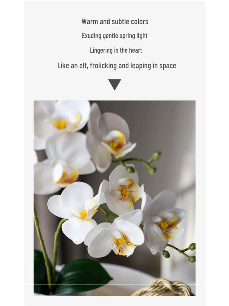 Sztuczna Phalaenopsis Sztuka Florystyczna Roślina w Doniczce: Dekoracyjna Plastikowa Kwiat do Salonu lub Stołu Jadalnego