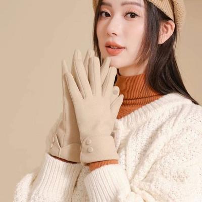 Thickened  Gloves Full Finger Winter Mittens Vintage Women Suede Gloves  Ladies