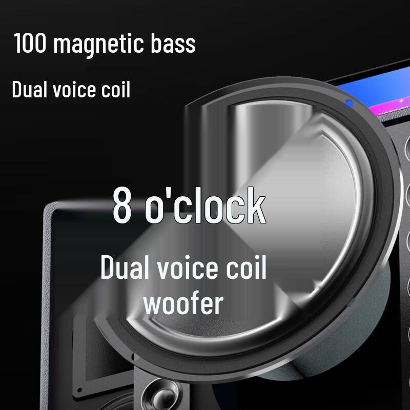 SANSUI K095 Portable Home KTV System with Display (CN version)