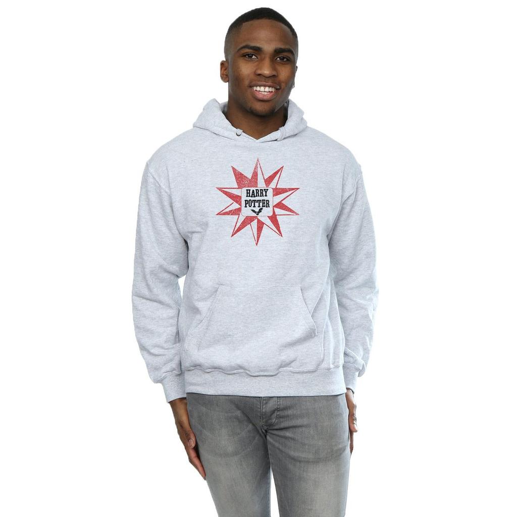 HARRY POTTER Herren Hedwig Stern Hoodie