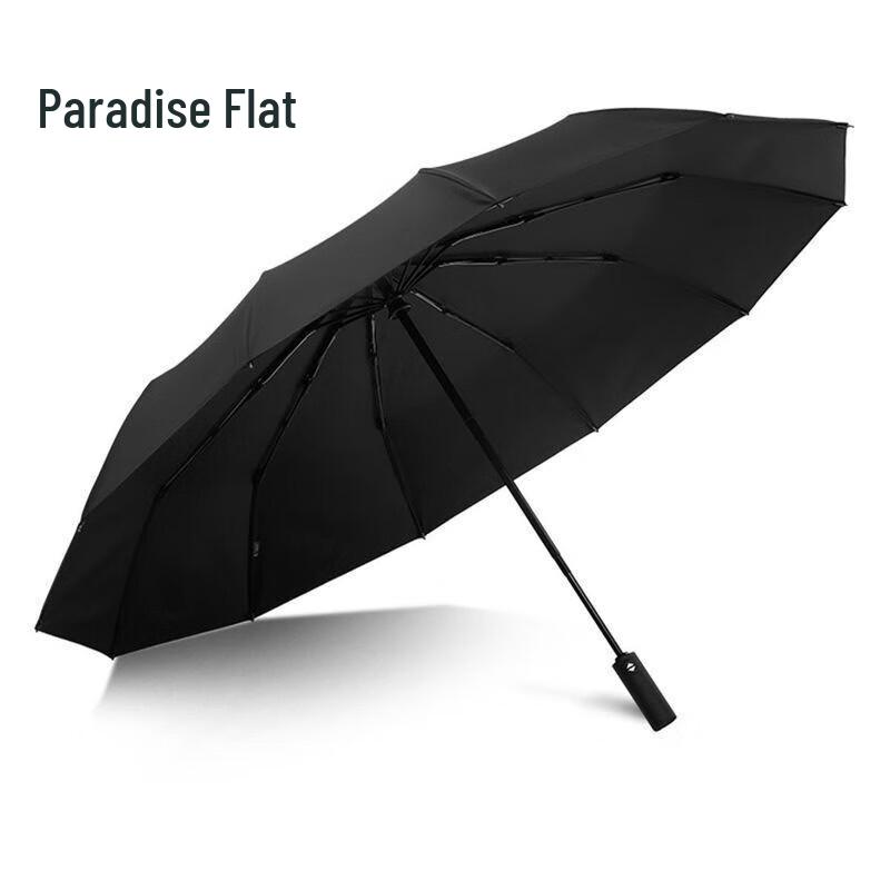 Paradise 10-Rib Automatic UV Protection Travel Umbrella