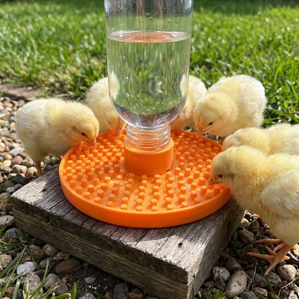 Multi-Hole Chicks Automatic Drinking Tray Plastic Bee Water Dispenser Home Balcony