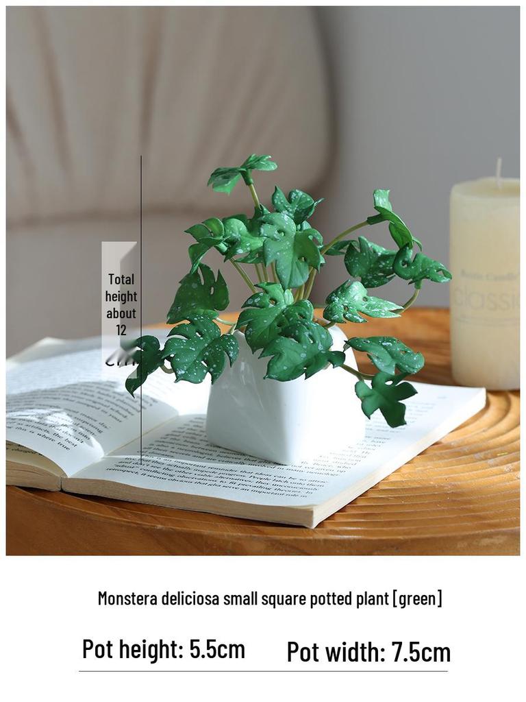 Miniature Succulent Bonsai Desk Ornament: Green Plant Props for Home or Office Decor