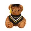 20CM Cute Doctor Bear Plush Toy Soft Graduate Plush Dolls Creative Graduation Bear  Graduate Gift