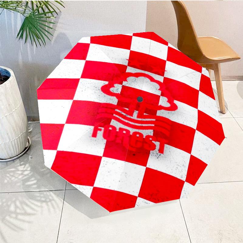 Adventure Mountains Printed Automatic Umbrella, 8-Frame for Travel, camping, Casual Umbrella, Essential Gift for for family and friends