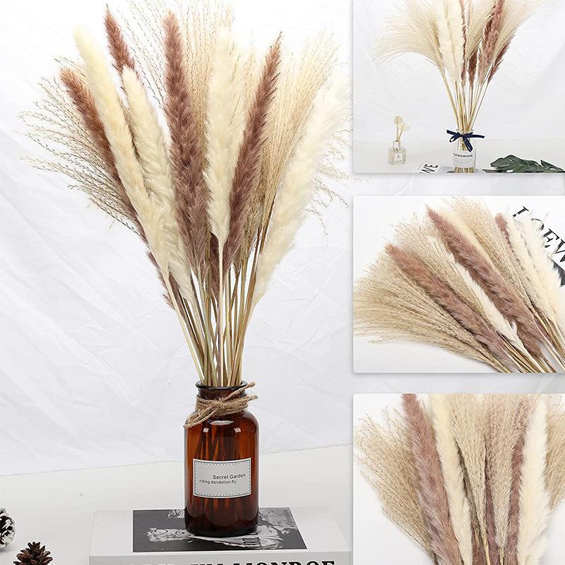 Combination Dried Bouquet, Small Reed Hare Tail Grass Whisk Dust Nordic Style Home Decoration Flower Arrangement Mix And Match Dried Flowers