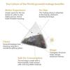 Tea Culture Of The World, Soothing Chamomile Herbal Tea | Relaxing & Destressing | Whole Flower Blend | Sweet Aroma & Delicious Taste| 16 Co