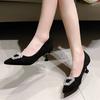 Moda 2025 Primavera Autunno Nuovi Versatili Tacchi Alti Sottili A Punta Scarpe con Tacco Medio Quadrato Fibbia Eleganti Scarpe con Tacco Alto Donna