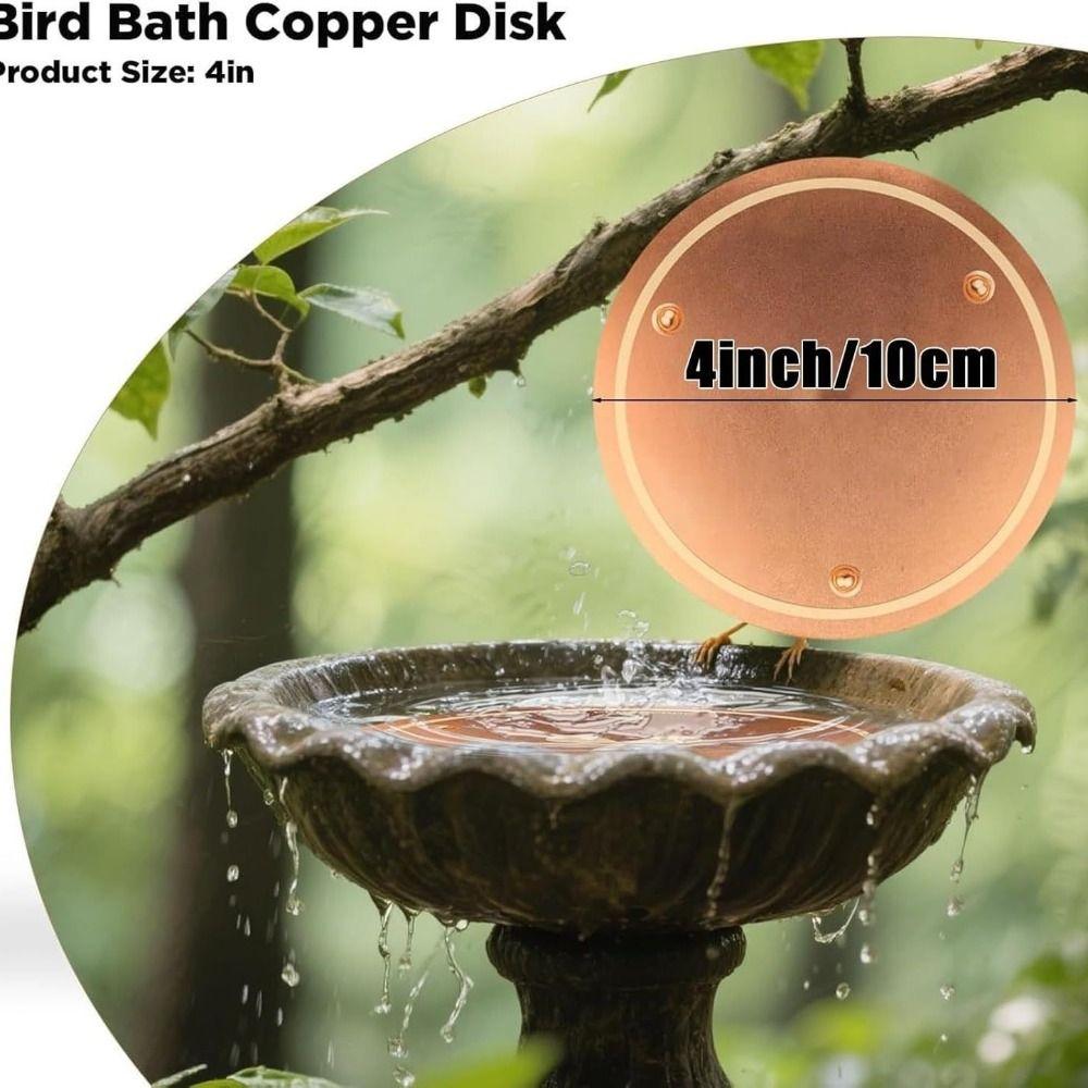 Reinforced Pure Copper Bird Bath Copper Disk Effective Purification Reliable Bird Bath Purification Disk Water Birdbaths Cleaner