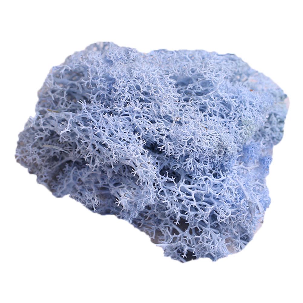 L & B Sztuczna roślina zachowany kwiat renifer mech DIY Craft Garden Home Decor