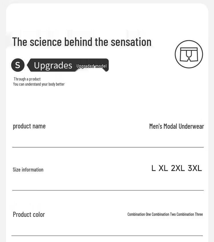 FENTENGCARE Herren Nahtlose Modal Eis Seide Antibakterielle Boxer Briefs