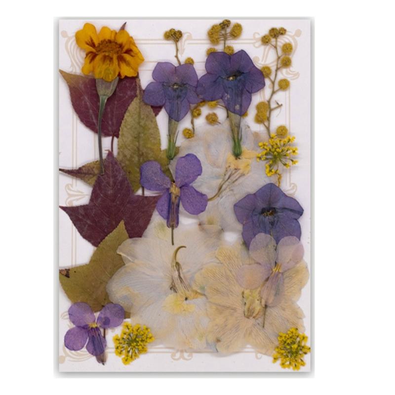 Natural Pressed Dried Flower For Epoxy Resin Dry Flowers and Leaves Set for Soap Candle Jewelry Making Scrapbooking