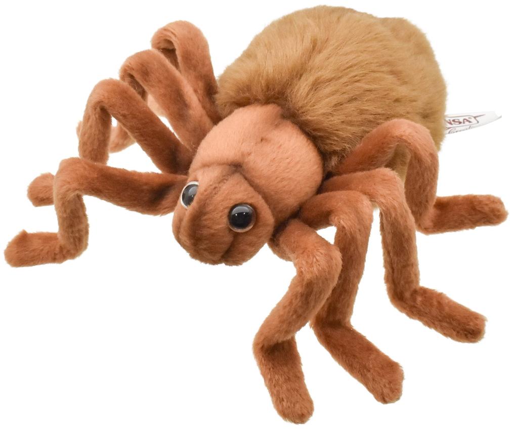 BH8488 HANSA Hnědá tarantule 19