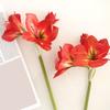 22" Real Touch Künstlicher Amaryllis-Strauß Langer Stiel Seidenblume mit 2 vollen Blüten und 1 Knospe für Haus Büro Vase Blumengestecke