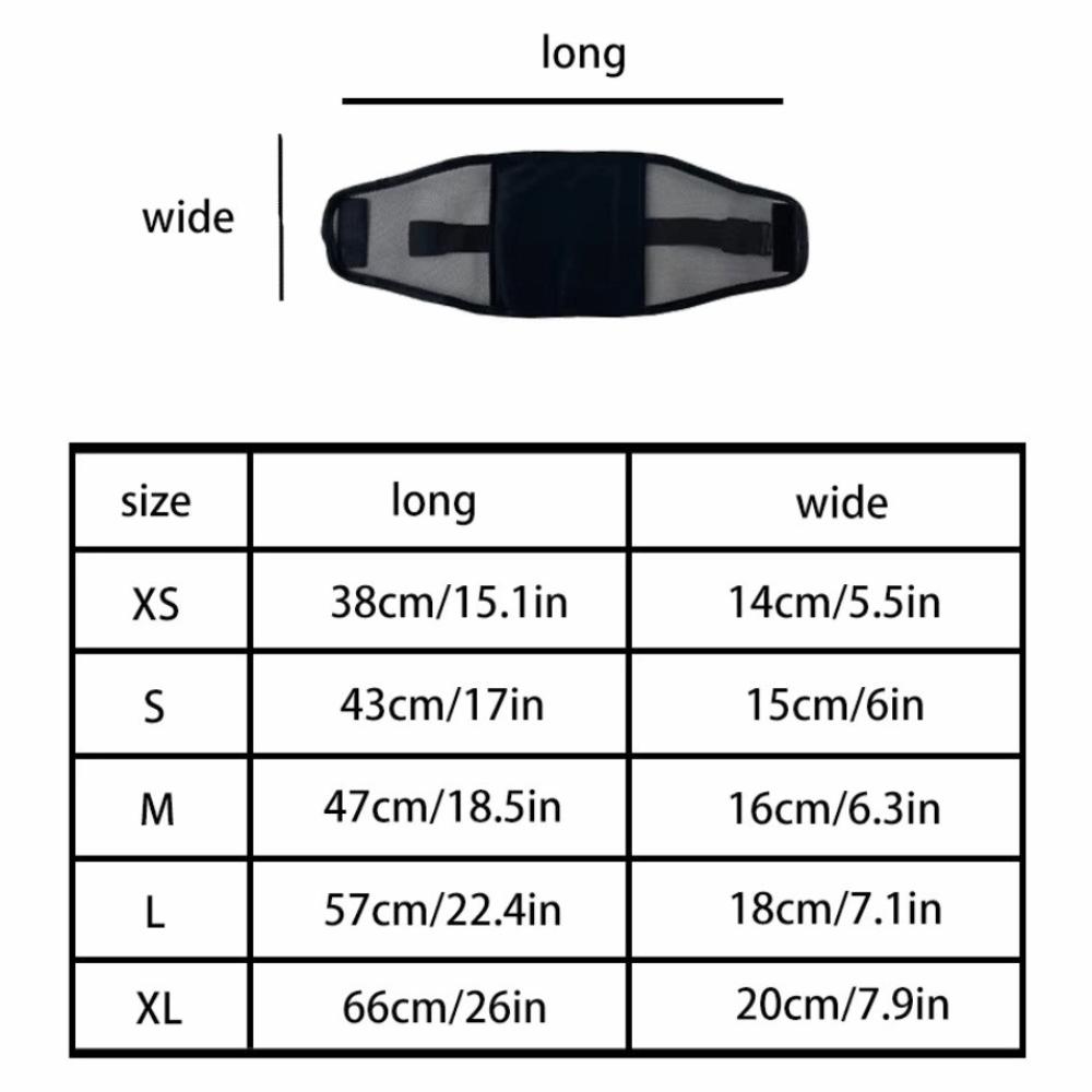 Breathable Mesh Dog Physiological Pants Washable Anti-Harassment Pet Underwear Reusable Dog Diapers All Seasons Use