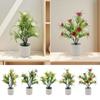 Multicolor Spring Grass Potted Green Grass Simulation Plant Potted Creative Desktop Ornament  Gift