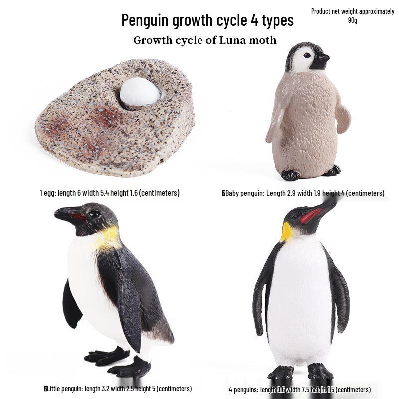 Mini Animal Growth Cycle Toys: Butterfly, Rooster, Ant, Frog, Sea Turtle, Dragonfly