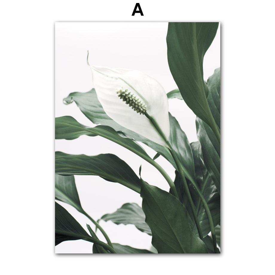 Tropické rostliny Palmové listy Bílý květ Nástěnná malbaPlátno Severské plakáty a obrazy Nástěnné obrazy pro výzdobu obývacího pokoje