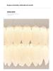 Postmodern French Chandelier: Cream Style Feather & Pearl LED Light for Living Room or Bedroom