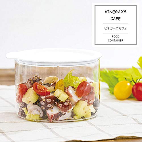 Mino Sarara Storage Container Heat Resistant Stylish Hario Vinegars Food Container 800