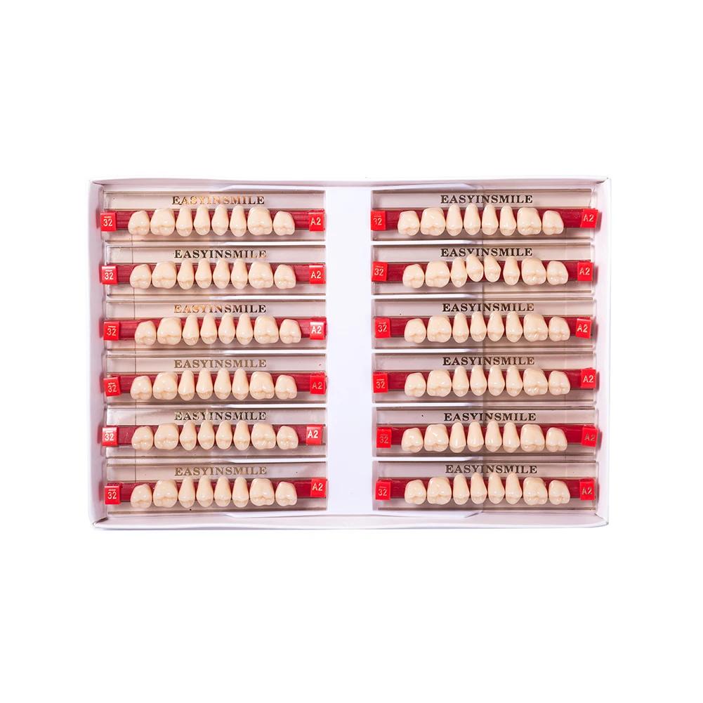 16/12 Sätze/Karton Zahnprothese Zähne Oberkiefer Frontzähne Unterkiefer Seitenzähne Dentier Synthetisches Polymerzähne Zahnmedizinische Ausbildungsmodell