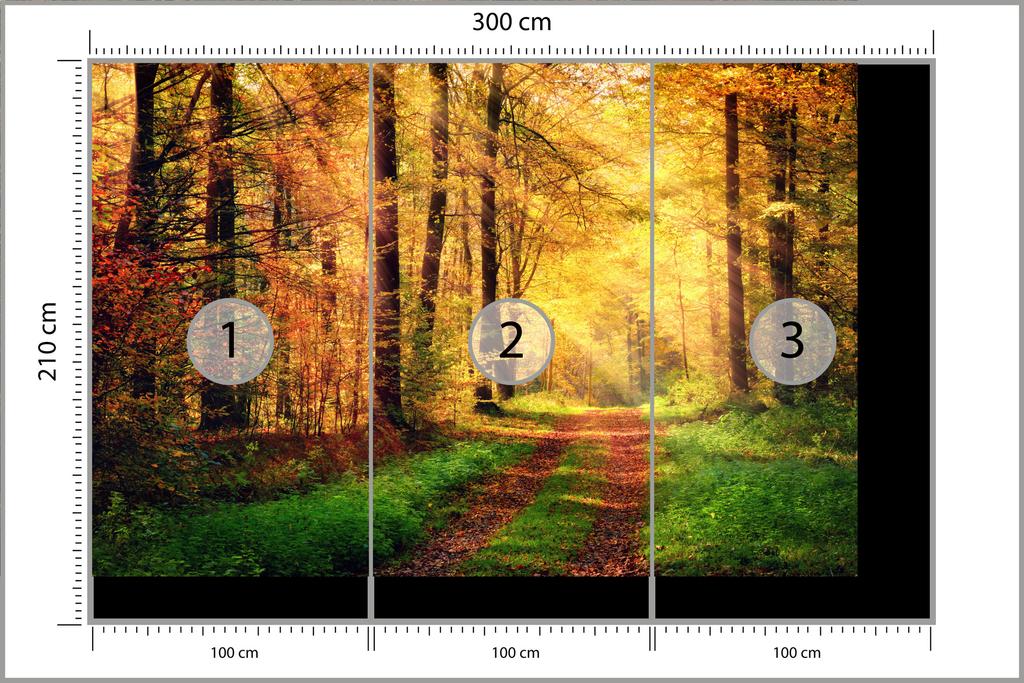 Photomural Forest Autumn Colors Non-Woven 300x210