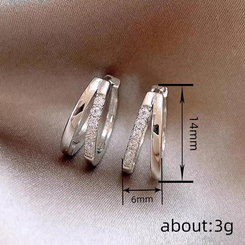 925 Sterling Silver Zircon Double Round Hoop Earrings for Fashion Women Light Luxury Fine Jewelry Trendy Accessories