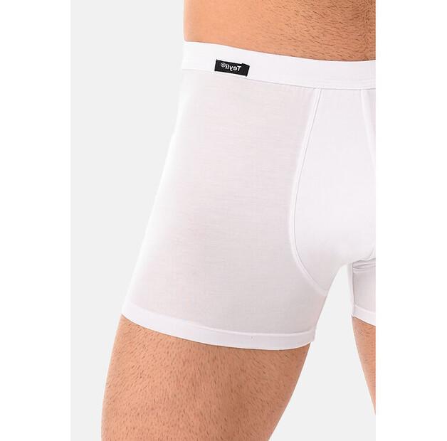 Боксеры Teyli Levi