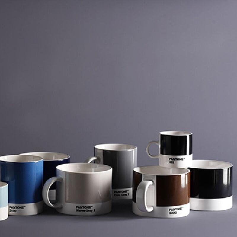 Pantone Mug (Warm Gray 2)