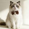 Retro Waffle Pattern Pet Collar with Pearl Pendant