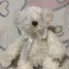 [USED] Used Canal 4℃ Teddy Bear Plush Toy with Music Box