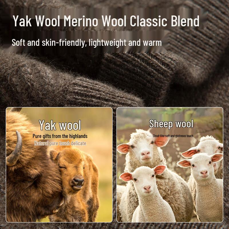 Montagut Men's Wool Blend V-Neck Knit Pullover