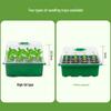 6/12-Hole Breathable Seedling Tray for Home Vegetable Planting and Care