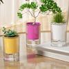 Modern Selfwatering Flower Pot Healthy Plant Growth Auto Watering Flower Holder For Home Decors Balcony Planting Supply