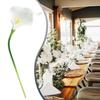 Photography Artificial Flower Washable Decoration 10pcs Indoor Outdoor