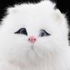 Adorable Plush Cat Figurine for Home Decor and Desk Display
