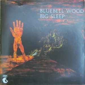 

CD BIG SLEEP - Bluebell Wood HMPCD005 Hugo-Montes Pro 2001 Russia Rock Used