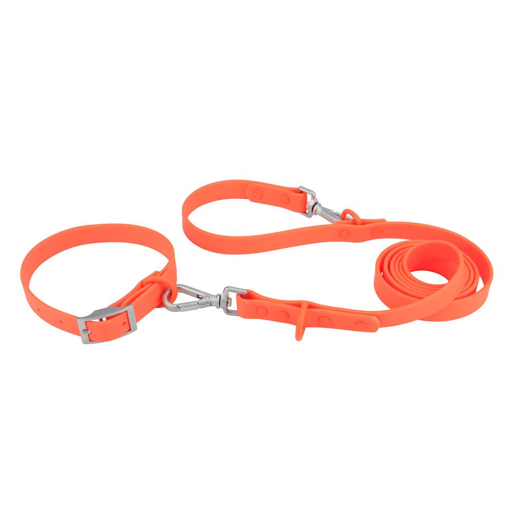 Set Collar Leash Pet PVC Cat Collar Leashes For Small Medium Big Dog Outdoor Walk