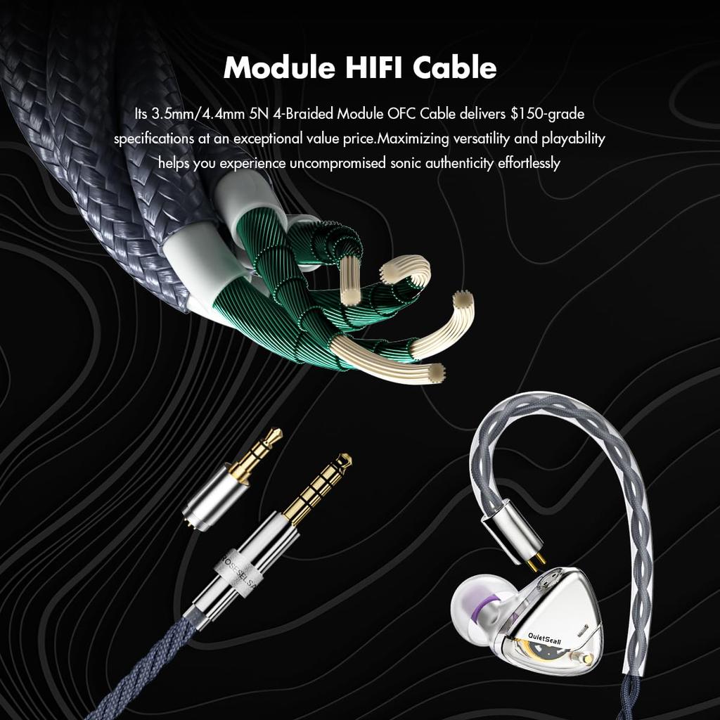 ROSESELSA Monitor with Dynamic Diaphragm 1DD HIFI Wired with Module IEM Cable "QUIETSEA II" In-Ear Driver, Earphone, 3.5mm/4.4mm (Silver)