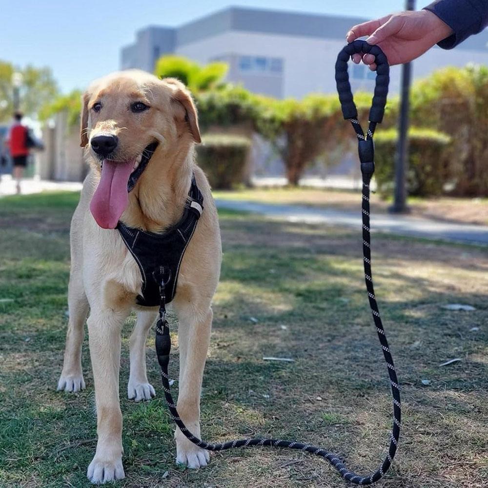3/5m Rope Dog Leash with Soft Padded Handle Highly Reflective Heavy Duty Dog Rope Leash for Small Medium Large Dog Accessories