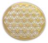 Flower of Life 18K Gold Plated Healing Grid