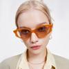 New Fashion Cat Eye Sunglasses For Men Women Trendy Brand Design Street Photography Sun Glasses Outdoor Sunscreen Shades UV400