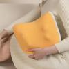 Aimo Master Electric Lumbar Massage Pillow