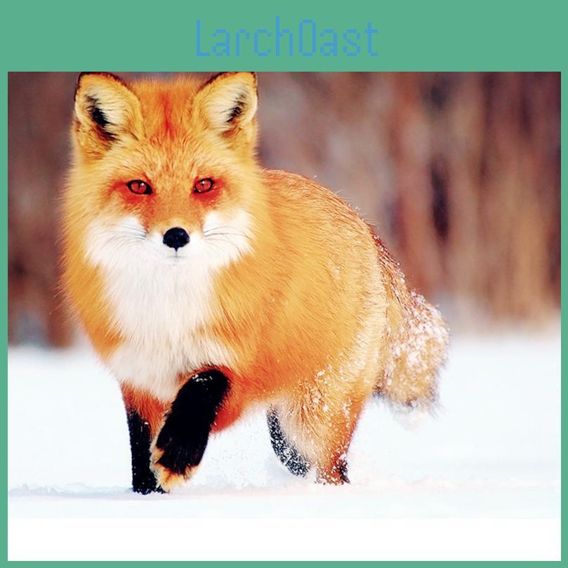 Snow Diamond Diy 5d Fox Mosaic Diamond Painting Cross Stitch Kit Diamonds Embroidery