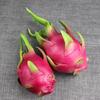 Artificial Dragon Fruit Home Decor & Photography Prop