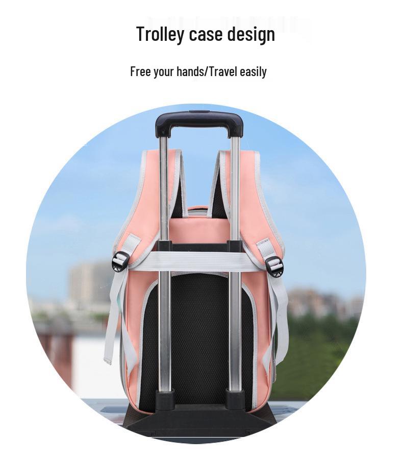 Large Capacity Breathable & Foldable Pet Backpack for Cats & Dogs