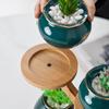 Tree Branch shape Succulents Bonsai Organizer Multi-layer Desktop Plants Stand  for Window