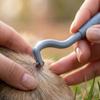 Pet Tick Remover Tool Set 3 Pieces Dog Cat Flea Tick Hook Extraction Device for Safe and Easy Parasite Removal
