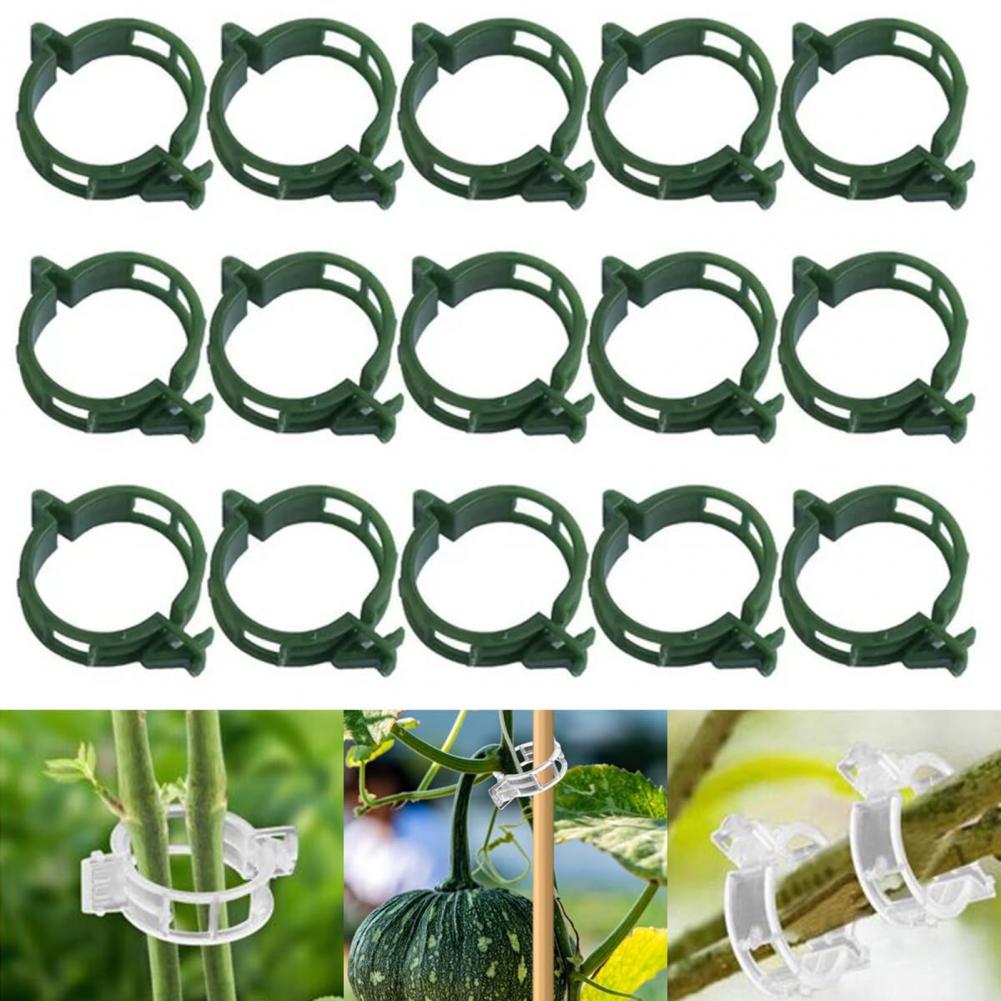 Vertical Gardening Clip Reusable Plant Fixing Clips for Tomato Grape Vines Support Vegetables with Secure Garden for Vertical