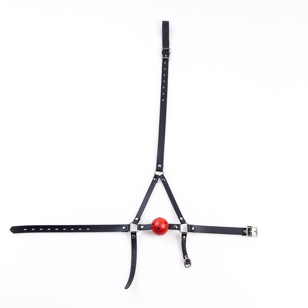 Ice Adult Red Ball Gag: Erotic Mesh Mouth Plug and Training Restraint